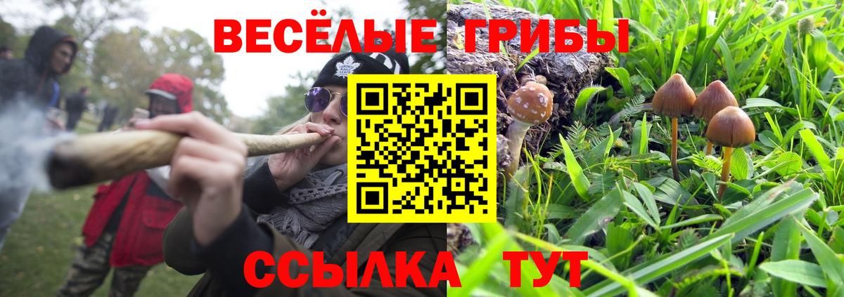 где найти   Вход с VPN  Вязьма  Галлюциногенные грибы мухоморы  Псилоцибиновые грибы Psilocybine cubensis 