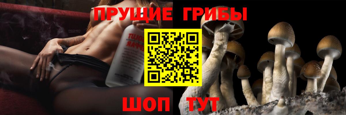 Псилоцибиновые грибы прущие грибы Вязьма